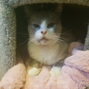 Meet your Posher, Johanna